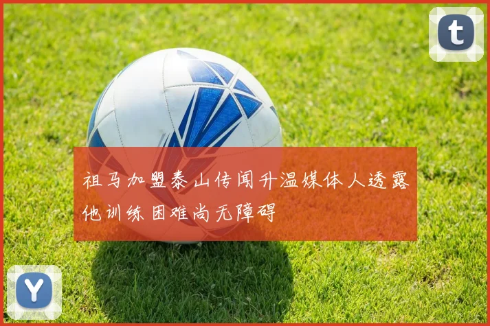 祖马加盟泰山传闻升温媒体人透露他训练困难尚无障碍