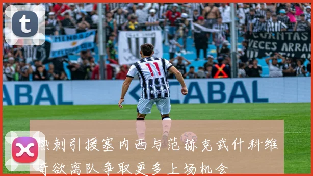 热刺引援塞内西与范赫克武什科维奇欲离队争取更多上场机会